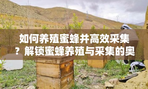 如何養(yǎng)殖蜜蜂并高效采集？解鎖蜜蜂養(yǎng)殖與采集的奧秘