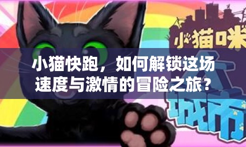小貓快跑，如何解鎖這場速度與激情的冒險之旅？
