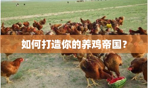 如何打造你的養(yǎng)雞帝國？
