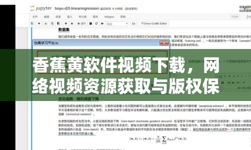 香蕉黃軟件視頻下載，網(wǎng)絡(luò)視頻資源獲取與版權(quán)保護(hù)探討