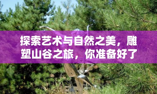 探索藝術(shù)與自然之美，雕塑山谷之旅，你準(zhǔn)備好了嗎？