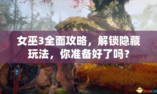 女巫3全面攻略，解鎖隱藏玩法，你準(zhǔn)備好了嗎？