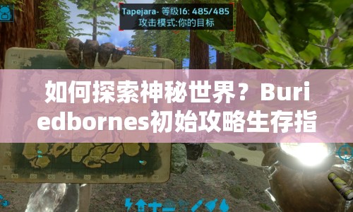 如何探索神秘世界？Buriedbornes初始攻略生存指南來啦！