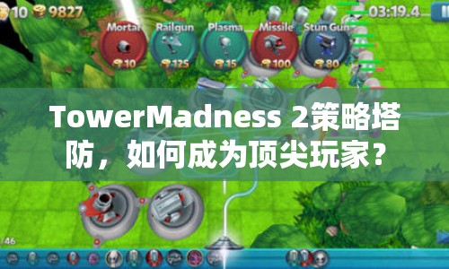 TowerMadness 2策略塔防，如何成為頂尖玩家？