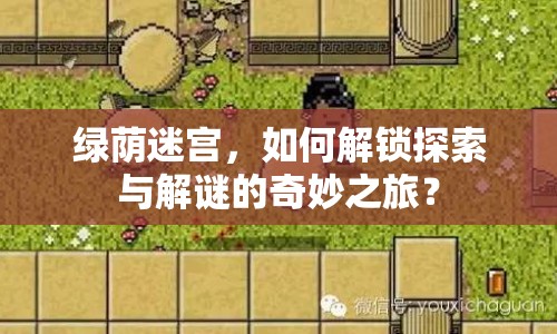 綠蔭迷宮，如何解鎖探索與解謎的奇妙之旅？