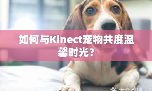 如何與Kinect寵物共度溫馨時光？