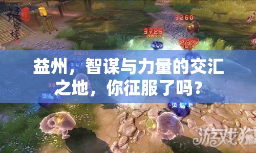 益州，智謀與力量的交匯之地，你征服了嗎？