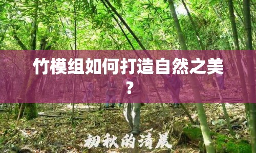竹模組如何打造自然之美？