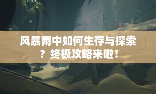 風(fēng)暴雨中如何生存與探索？終極攻略來啦！