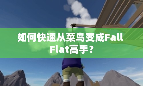 如何快速?gòu)牟锁B(niǎo)變成Fall Flat高手？