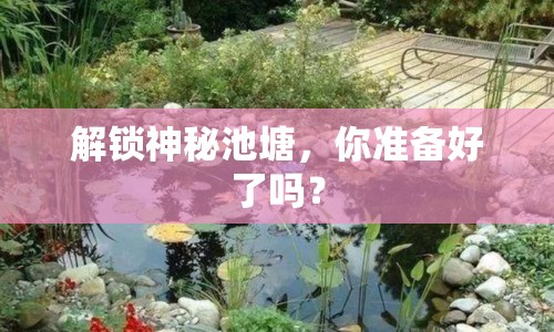 解鎖神秘池塘，你準(zhǔn)備好了嗎？