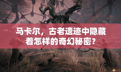 馬卡爾，古老遺跡中隱藏著怎樣的奇幻秘密？