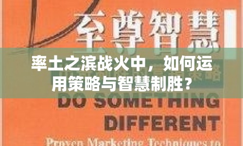 率土之濱戰(zhàn)火中，如何運(yùn)用策略與智慧制勝？