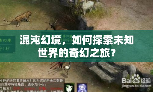 混沌幻境，如何探索未知世界的奇幻之旅？