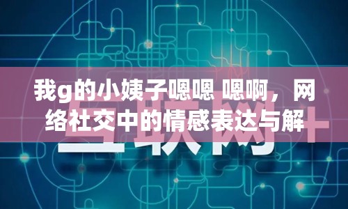 我g的小姨子嗯嗯 嗯啊，網(wǎng)絡(luò)社交中的情感表達(dá)與解讀