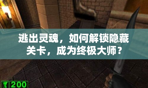 逃出靈魂，如何解鎖隱藏關(guān)卡，成為終極大師？