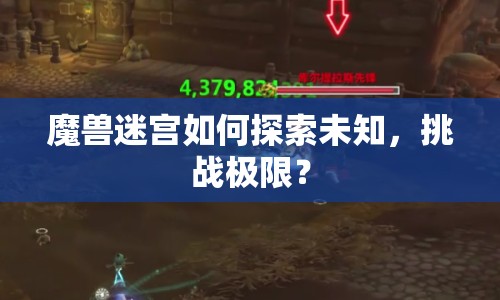 魔獸迷宮如何探索未知，挑戰(zhàn)極限？