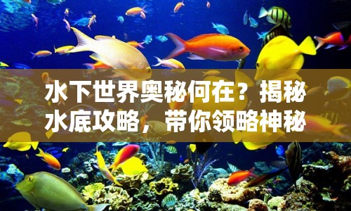 水下世界奧秘何在？揭秘水底攻略，帶你領(lǐng)略神秘水下奇觀！
