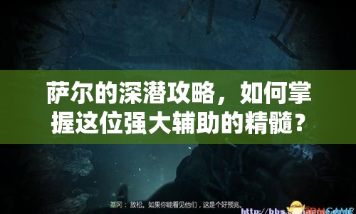薩爾的深潛攻略，如何掌握這位強(qiáng)大輔助的精髓？