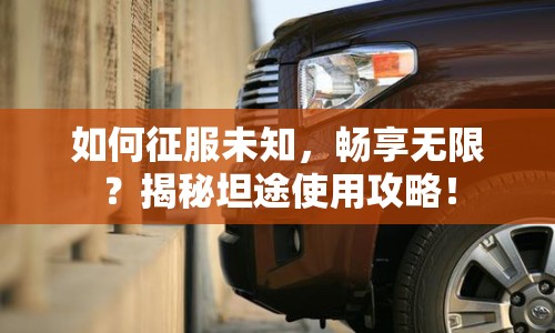 如何征服未知，暢享無(wú)限？揭秘坦途使用攻略！