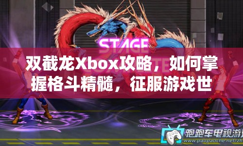 雙截龍Xbox攻略，如何掌握格斗精髓，征服游戲世界？