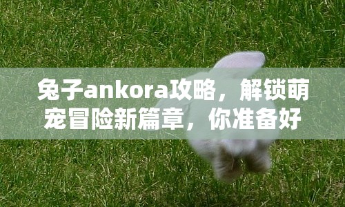 兔子ankora攻略，解鎖萌寵冒險新篇章，你準(zhǔn)備好了嗎？