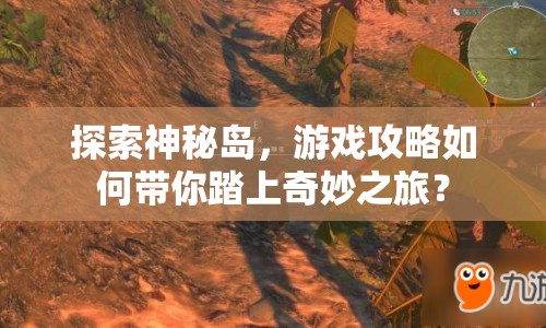 探索神秘島，游戲攻略如何帶你踏上奇妙之旅？