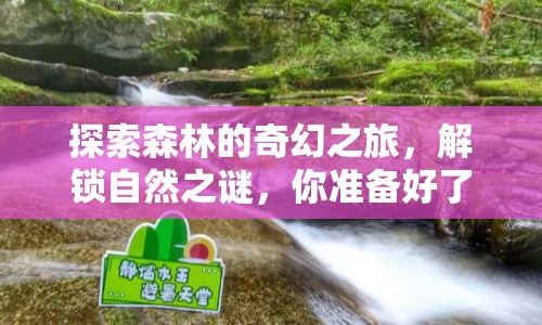 探索森林的奇幻之旅，解鎖自然之謎，你準備好了嗎？