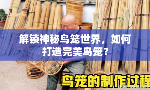 解鎖神秘鳥籠世界，如何打造完美鳥籠？