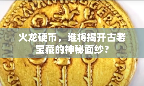 火龍硬幣，誰將揭開古老寶藏的神秘面紗？