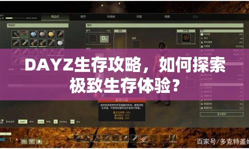 DAYZ生存攻略，如何探索極致生存體驗(yàn)？