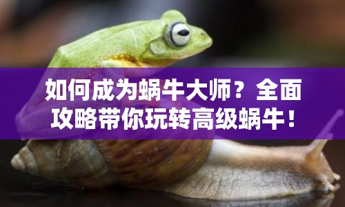 如何成為蝸牛大師？全面攻略帶你玩轉(zhuǎn)高級蝸牛！
