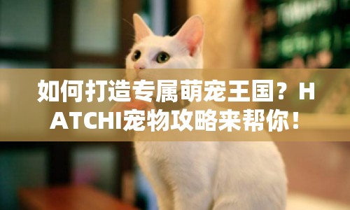 如何打造專屬萌寵王國？HATCHI寵物攻略來幫你！