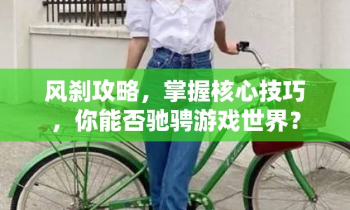 風(fēng)剎攻略，掌握核心技巧，你能否馳騁游戲世界？