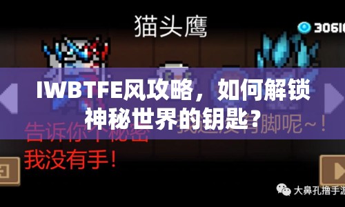 IWBTFE風(fēng)攻略，如何解鎖神秘世界的鑰匙？