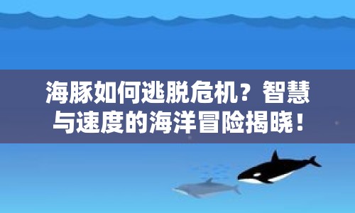 海豚如何逃脫危機(jī)？智慧與速度的海洋冒險揭曉！