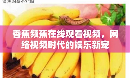 香蕉頻蕉在線觀看視頻，網(wǎng)絡(luò)視頻時代的娛樂新寵