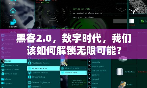 黑客2.0，數(shù)字時代，我們該如何解鎖無限可能？