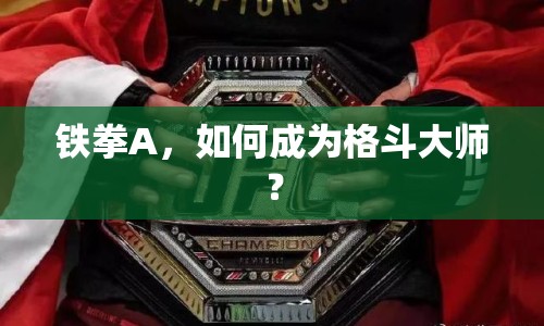 鐵拳A，如何成為格斗大師？
