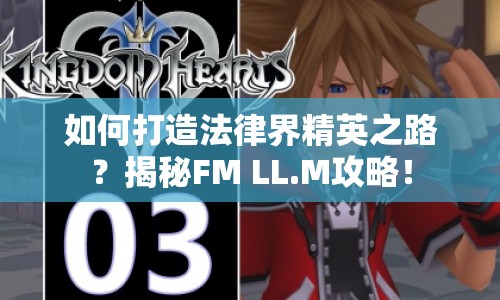 如何打造法律界精英之路？揭秘FM LL.M攻略！
