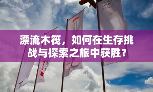 漂流木筏，如何在生存挑戰(zhàn)與探索之旅中獲勝？