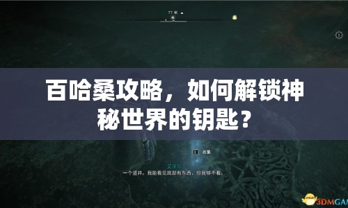 百哈桑攻略，如何解鎖神秘世界的鑰匙？