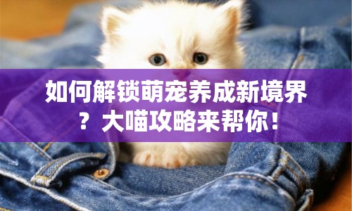 如何解鎖萌寵養(yǎng)成新境界？大喵攻略來幫你！