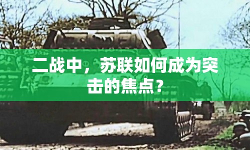 二戰(zhàn)中，蘇聯(lián)如何成為突擊的焦點(diǎn)？