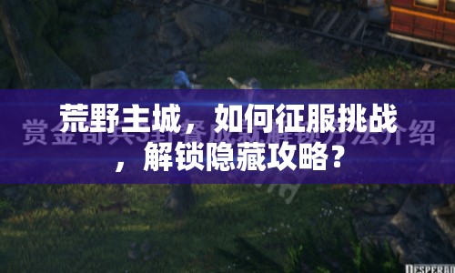 荒野主城，如何征服挑戰(zhàn)，解鎖隱藏攻略？