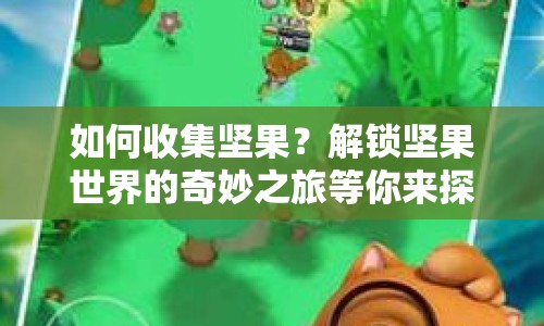 如何收集堅(jiān)果？解鎖堅(jiān)果世界的奇妙之旅等你來(lái)探索！