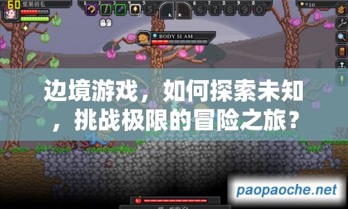 邊境游戲，如何探索未知，挑戰(zhàn)極限的冒險(xiǎn)之旅？
