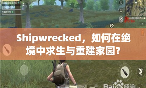 Shipwrecked，如何在絕境中求生與重建家園？