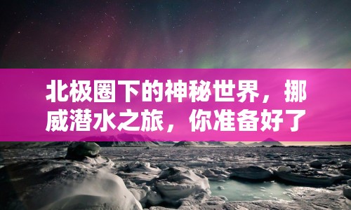 北極圈下的神秘世界，挪威潛水之旅，你準備好了嗎？