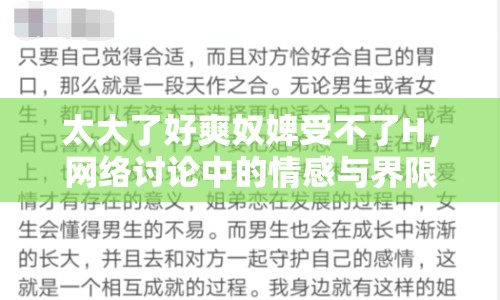 太大了好爽奴婢受不了H，網(wǎng)絡(luò)討論中的情感與界限